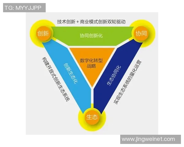 以竞体育团队为核心推动创新发展提升整体竞争力的战略探讨与实践路径